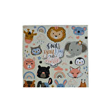 Star Sticky Set SC-4491