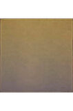 Bosphorus Çift Taraflı İpek Twill Eşarp 7208712-935