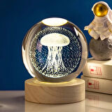 Deniz Anası Işıklı Cam Küre
