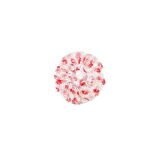LİONESSE SAÇ BONESİ SHOWER CAP 48901