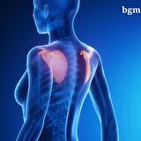 Klavikula Bandajı -L/XXL- Yüksek Kalite Clavicula Bandajı - Omuz Düşüklüğü Dik Duruş