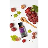 Üzüm Çekirdeği Yağı, Soğuk Sıkım, %100 Saf Ve Doğal, 20 ml