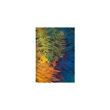 Özgün 17 x 24 Sert Kapak Defter 4 Renk Ayraçlı 192 Yp. Çizgili - 3 Adet