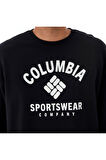 CSC Athletic Arc Erkek Sweatshirt