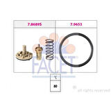 Vag Termostat 80>95° Golf V VI Jetta III IV Polo Scirocco Tiguan Touran A1 Fabıa İbiza V Alhambra 1,4tsi - Facet 7.8689