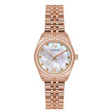 Carmen Master CR.1.AG0018.05 Çelik Kol Saati