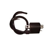 Honda Dış Bobin Kinetic Uyumlu