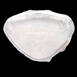 Mondial Km Saat Camı Sfc