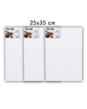 Temel 25x35 cm 3’lü Tuval