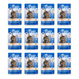 Plaisir Care 85Gr Pouch Hairball Control - Tüy yumağı Kontrol 12Adet Yaş Kedi Maması