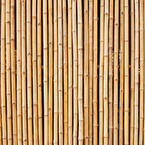 Bambu Sopası 180 cm 16 -18mm Bambu Çubuğu 5 ADET 