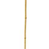 Bambu Sopası 180 cm 16 -18mm Bambu Çubuğu 5 ADET 