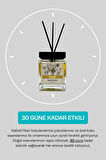 Mango Reed Diffuser - Tropikal Esinti: Bambu Çubuklu Oda Kokusu 100 ML