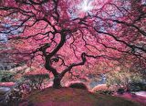 Anatolian 1000 Parçalık Puzzle - Pink Tree 1037
