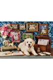 Anatolian 500 Parçalık Puzzle - Labrador 3637