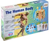 İnsan Vücudu 3D Eğitim Seti - The Human Body Asya