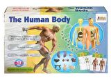 İnsan Vücudu 3D Eğitim Seti - The Human Body Asya