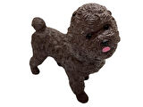 Soft Köpekler - Poodle Cinsi Köpek - E013
