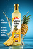Detoks Ananas Sirkesi 500 ml