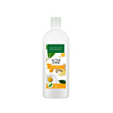 Sheida Active Shine Bitkisel Ve Doğal Saç Kremi 400 Ml