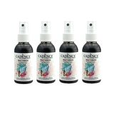 CADENCE SİYAH SPREY KUMAŞ BOYASI 100ML 4LÜ SET