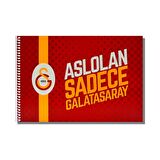 Galatasaray 17x24 15 Yaprak Karton Kapak Spiralli Resim Defteri (463637)