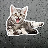Sevimli yaramaz kedi araba Sticker Etiket 18CM m3