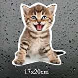 Sevimli yaramaz kedi araba Sticker Etiket 18CM m6