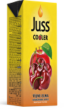 Juss Cooler Vişne Aromalı Meyve Suyu 200 ml 27'li
