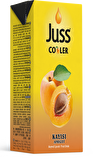 Juss Cooler Kayısı Aromalı Meyve Suyu 200 ml 27'li
