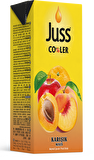 Juss Cooler Karışık Meyve Suyu 200 ml 27'li