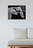 60 X 70 Cm Fil Desenli Cam Tablo 4mm Temperli Camdır