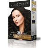 Sea Color Set Boya 6.11 Yoğ.K.Küllü Kumral