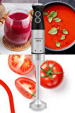 GoldMaster Fast Stick İnox 1500 Watt 4 Bıçaklı Paslanmaz Hazneli Çubuk El Blender Seti GM-7205