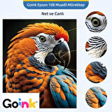 Goink EPSON 108 Açık Kırmızı Mürekkep 500 ml + 70 ml (Muadil)
