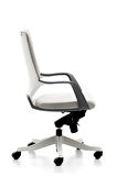 Bürotime Swan Çalışma Koltuğu Açık Gri