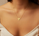 Anka 14 Ayar Altın Kolye