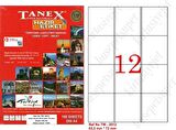 Tanex Tw-2012 Ebat 63 x 72 mm Lazer Etiket  A4 Sayfada 12 Etiket
