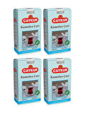 Çaykur Kamelya Çayı 1000 gr x 4 Adet