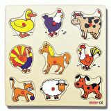 Edutoys Yaşam Çocuk Puzzle