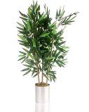 Yapay Çiçek Yapay Bambu Ağacı Paslanmaz Aleminyum Saksılı 80cm