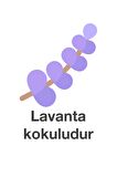 Deep Fresh Maxi Pack Lavanta Alkolsüz 144 Yaprak 1 Paket Islak Mendil