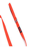 Tailpetz Match Leash Köpek Gezdirme Kayışı Garnet