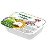 Grass Kit Natual Kedi Çimi