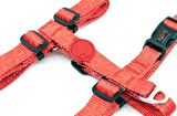 Tailpetz Prism H-Harness Küçük Irk Köpek Göğüs Tasması Small