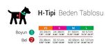 TailPetz H-Tip Rainbow S Küçük Irk Köpek Göğüs Tasması (Göğüs 32 cm x 51 Cm)