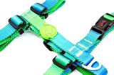 Tailpetz Amazon H-Harness Küçük Irk Köpek Göğüs Tasması Small