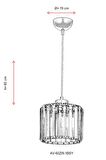 AVONNI AV-65239-1BSY Siyah Boyalı Modern Avize E27 Metal Kristal 19cm