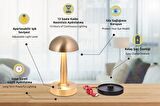 AVONNI ML-64004-E Eskitme Kaplama Masa Lambası LED Metal Pleksi 12cm