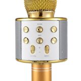 Karaoke Mikrofon Bluetooth Hoparlör Usb Sd Kart ve Aux Girişli - Gold